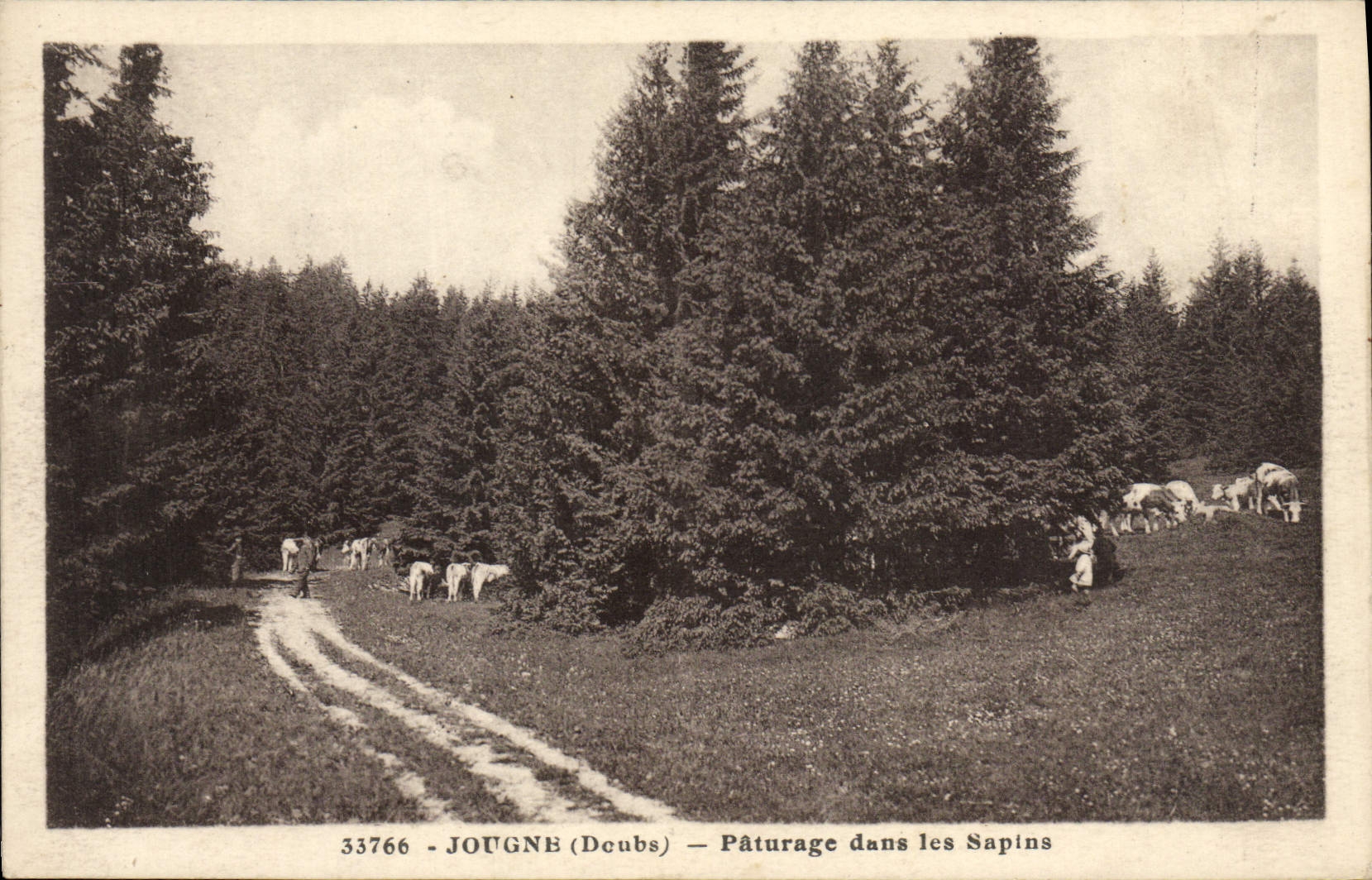Jougné (Doubs) — Pâturage dans les Sapins — Éditions C. Besançon, n° 33766