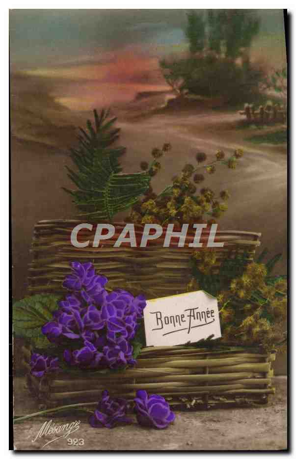 CPA Fantaisie Bonne Annee