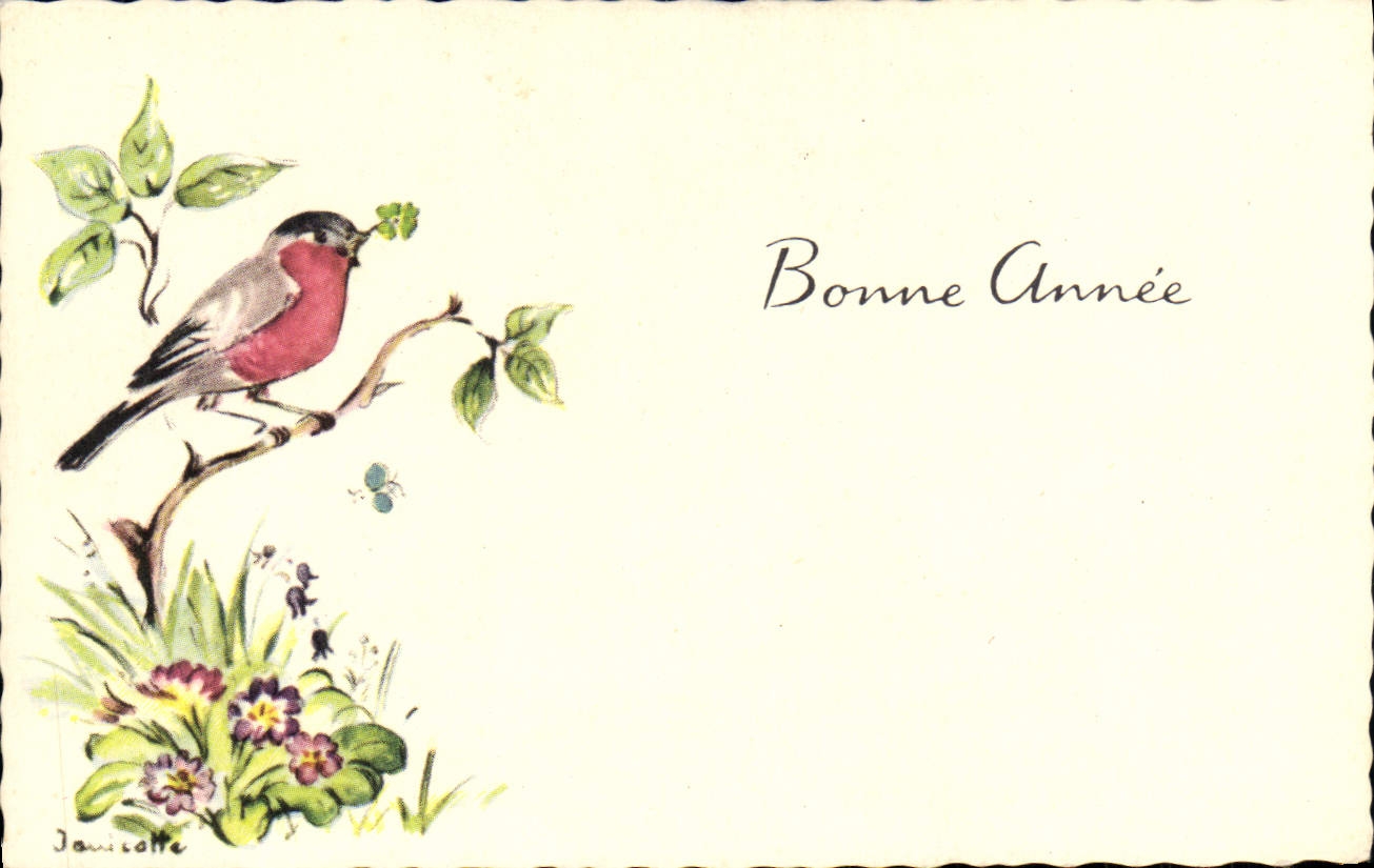 CPA Fantaisie Bonne Annee Oiseau