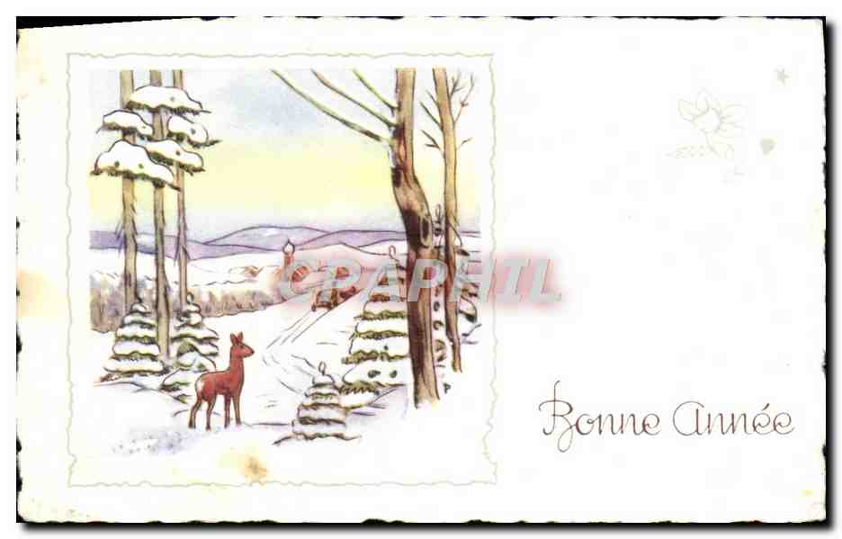 CPA Fantaisie Bonne Annee
