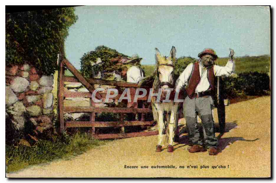 CPA Ane Mule Folklore 