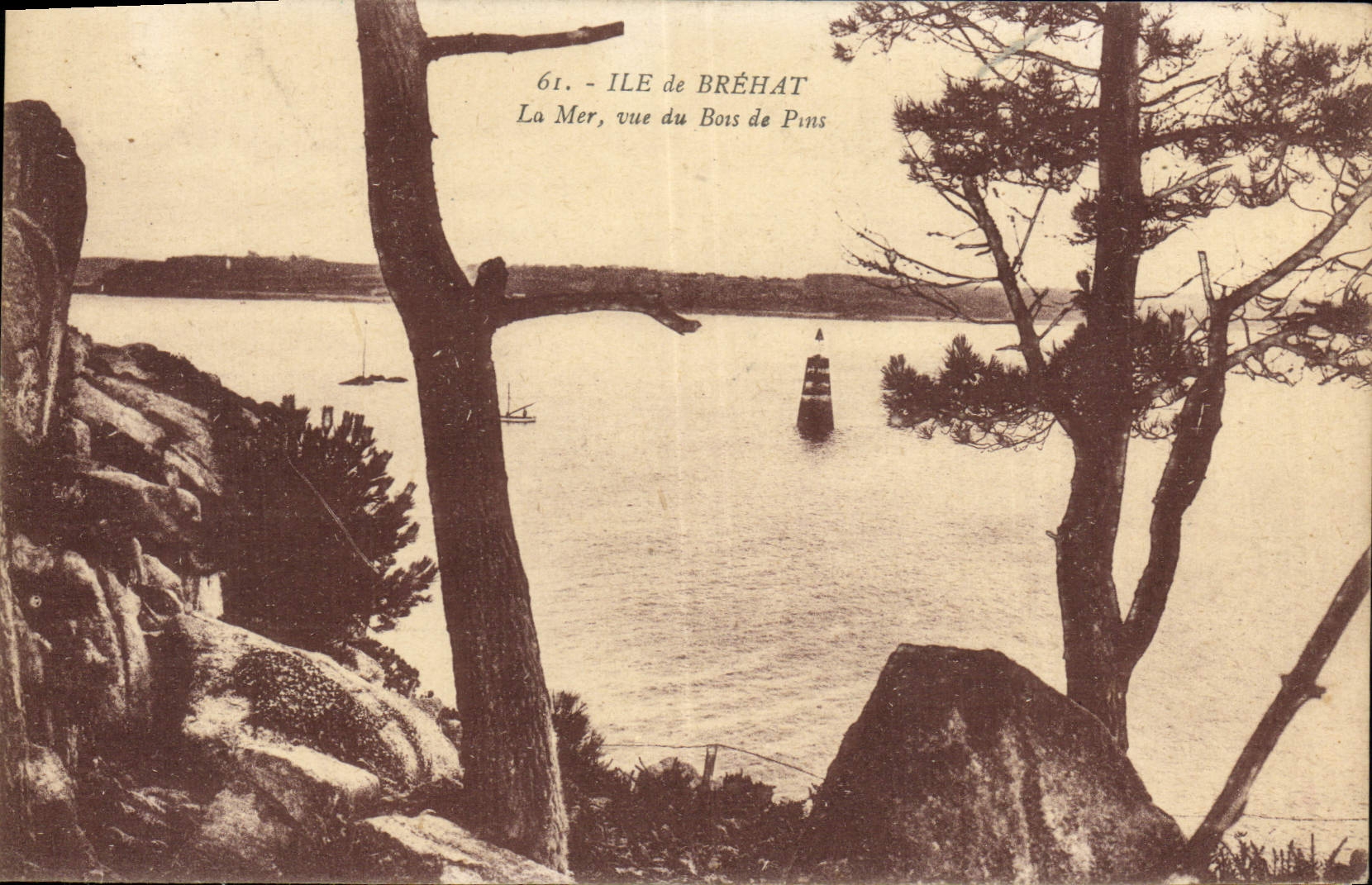 CPA Ile De Brehat La Mer Vue Du Bois De Pins