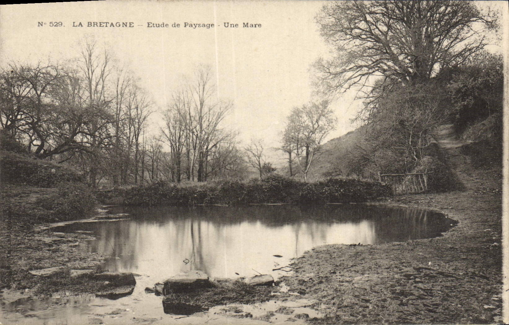 CPA La Bretaggne Etude De Paysage Une Mare