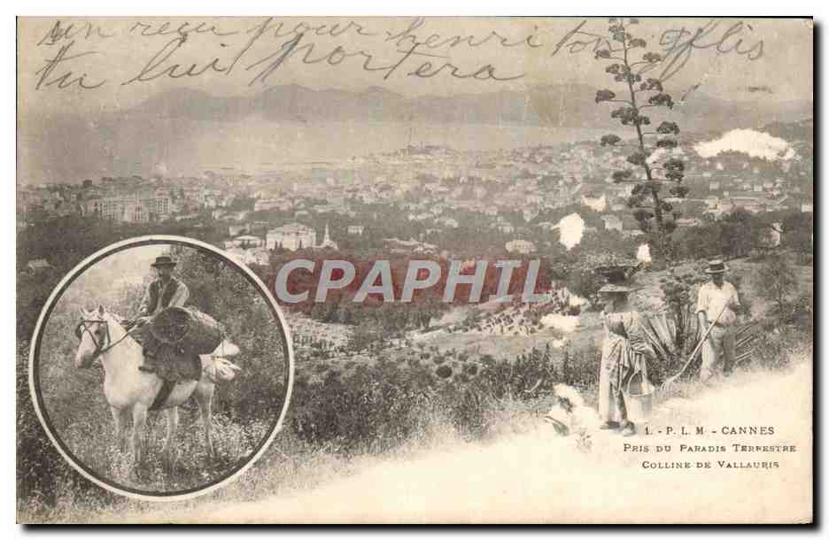 CPA Cannes Pris Du Paradis terrestre Colline de Vallauris Cheval 