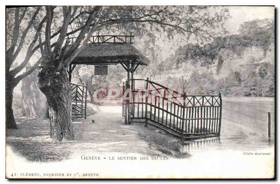 CPA Geneve Le sentier Des Saules