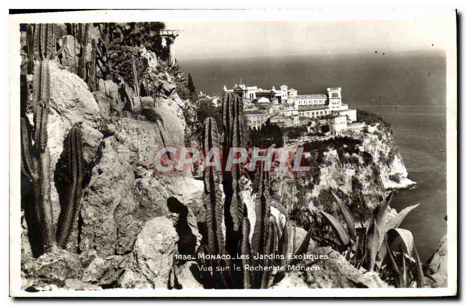 CPA Monaco Les Jardins Exotiques Vue Sur le Rocher Cactus
