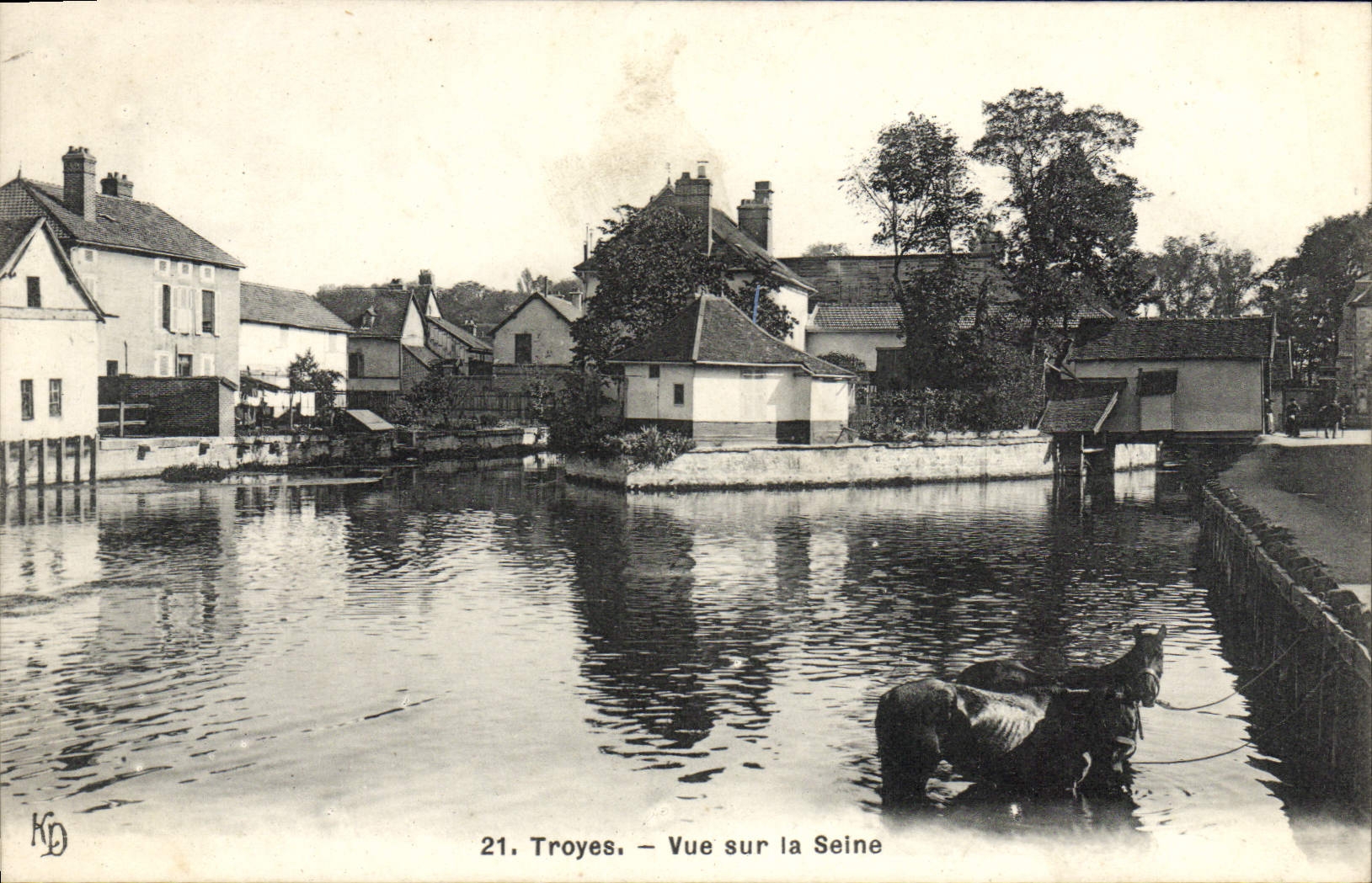 CPA Troyes Vue Sur la Seine Cheval