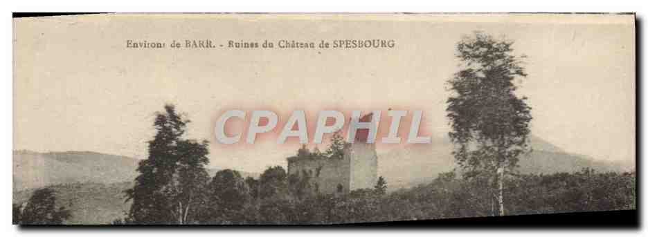 CPA Environs de Barr La Ruine Du Chateau de Spesbourg