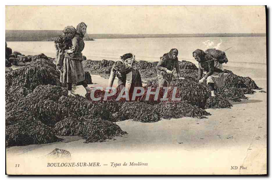 Antieke ansichtkaart Boulogne Sur Mer Types van Moulieres Visvangst visser