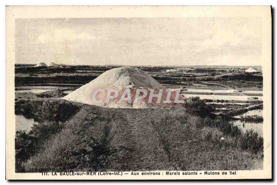 CPA La Baule Sur Mer Aux Environs Marais salants Mulons de sel