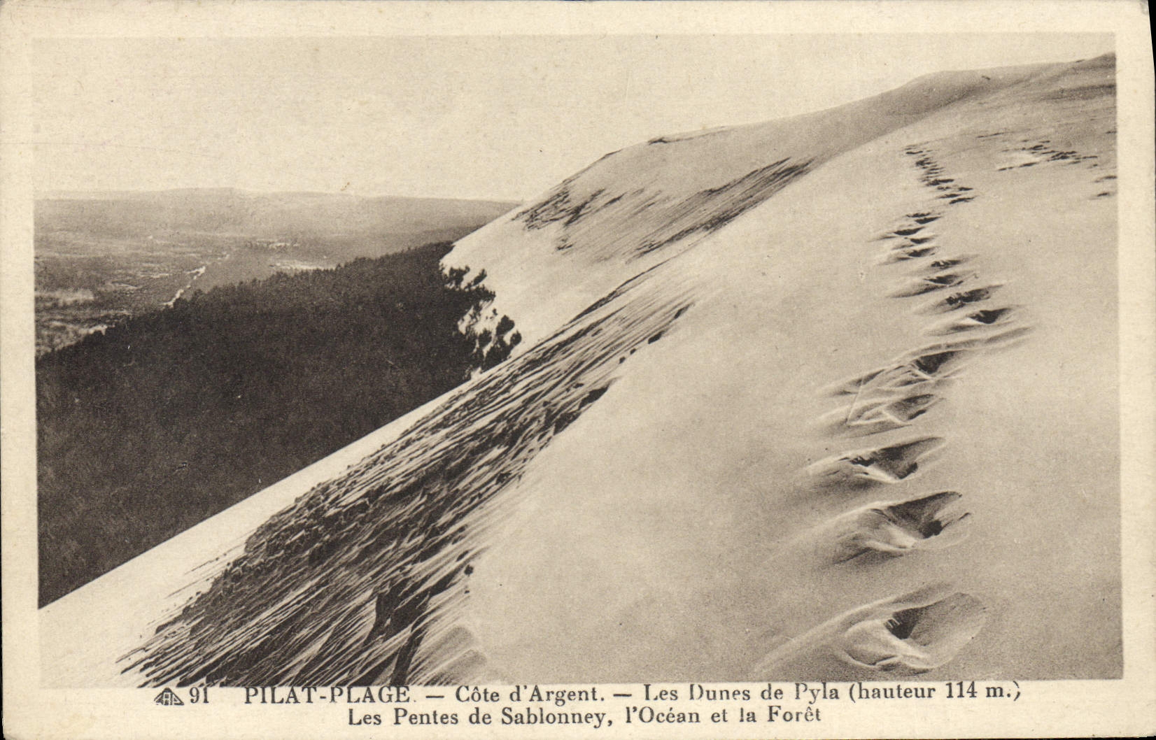 Pilat-Plage — Côte d'Argent — Les Dunes de Pyla (hauteur 114 m.)