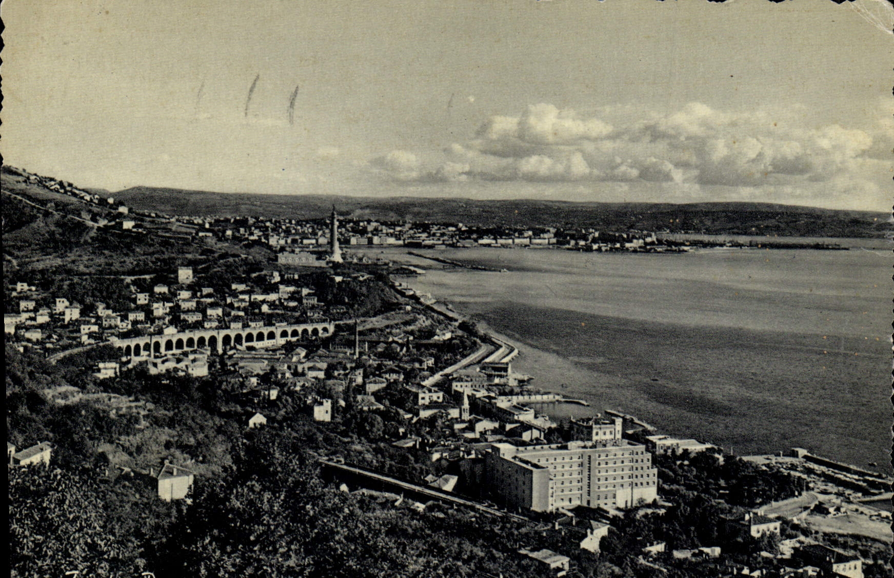 CPM Trieste General View Das Panorama