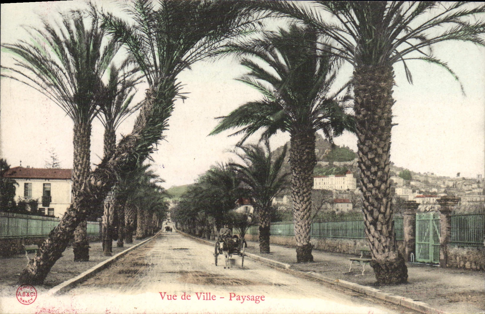 CPA Vue De Ville Paysage Voiture Ane 