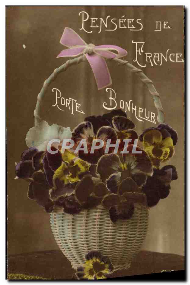 CPA Pensees De France Fleurs