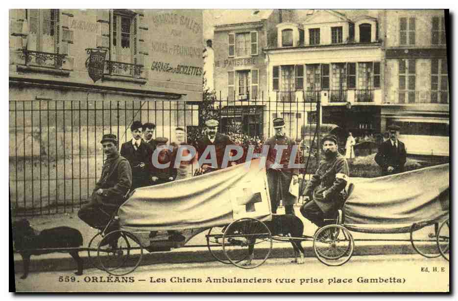 REPRO Orleans Les Chiens Ambulanciers Vue prise place Gambetta Chie Croix Rouge Militaria