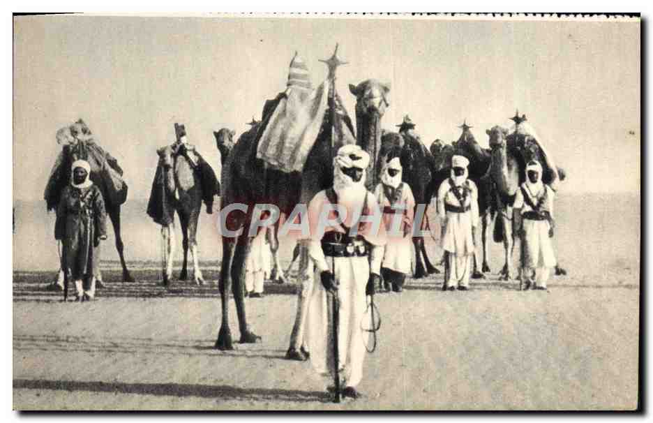 CPA Meharistes Militaria Chameau