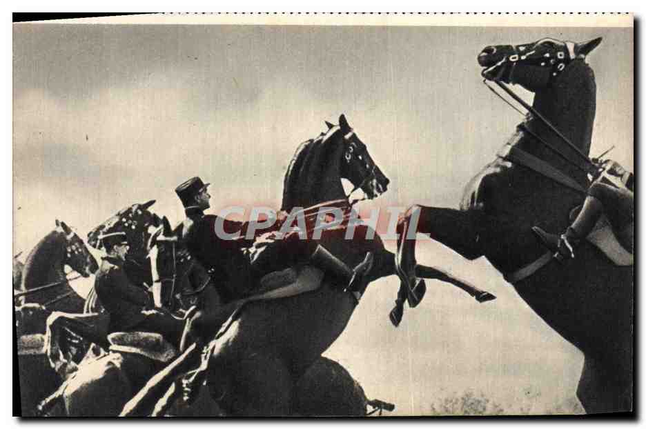 CPA Les Ecuyers Du Cadre Noir Cheval Hippisme 