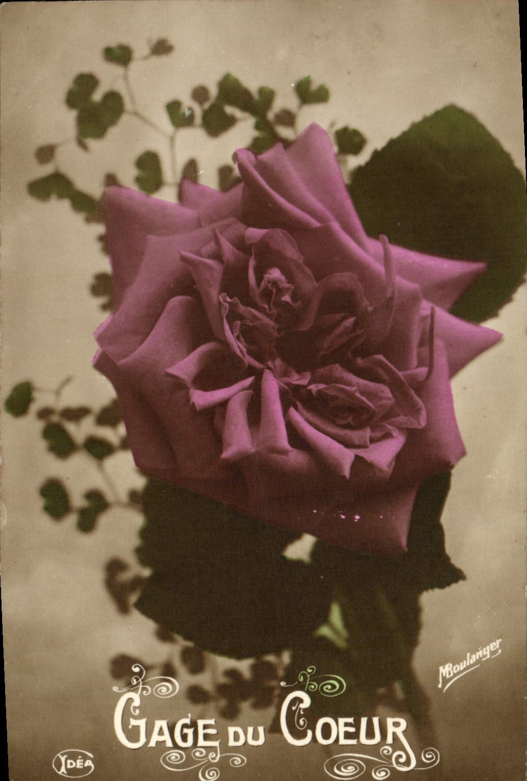 CPA Fantaisie Fleurs Rose Gage Du Coeur