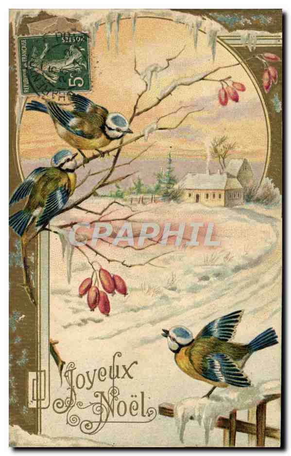 CPA Fantaisie Oiseaux Heureux Noel