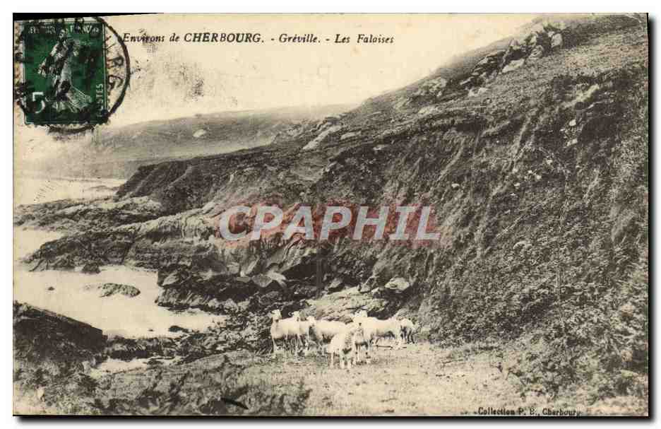 CPA Environs de Cherbourg Greville Les Falaises Moutons 