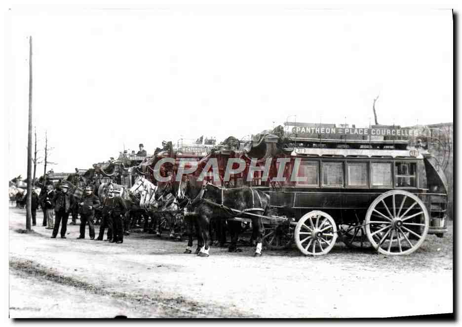 REPRO Paris 1900 Revue de Vincennes Chevaux 