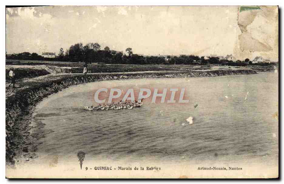 CPA Quimiac Marais de la Roblire Oies