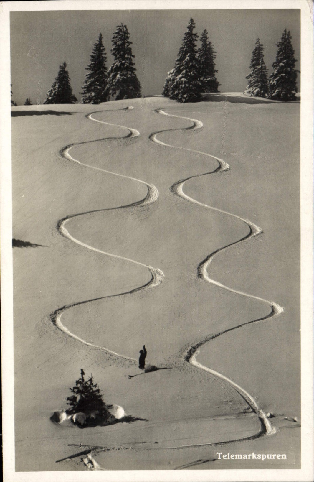 CPM Telemarkspuren Ski 