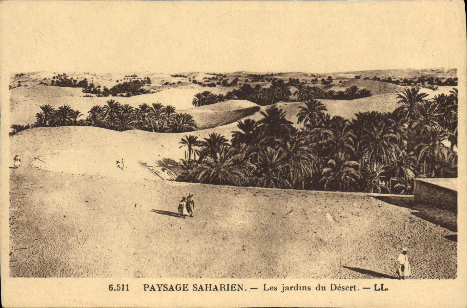 CPA Paysage Saharien Les Jardins du Desert