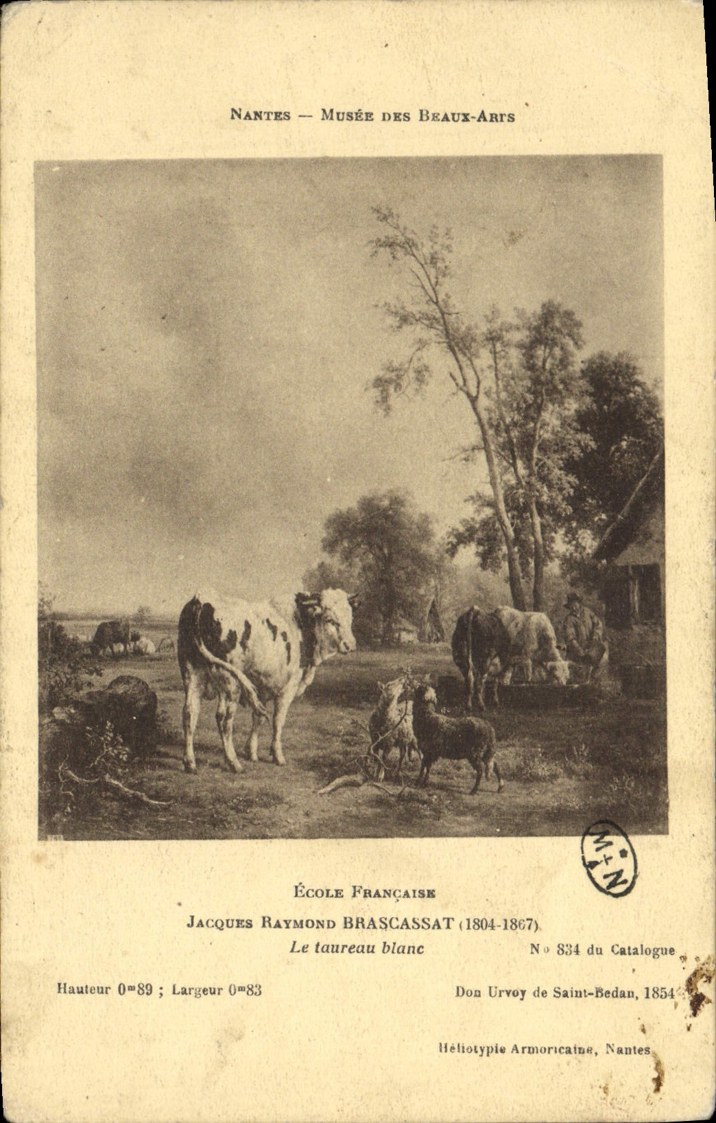 CPA Nantes Musee Des Beaux Arts Jacques Raymond Brascassat Le taureau blanc 