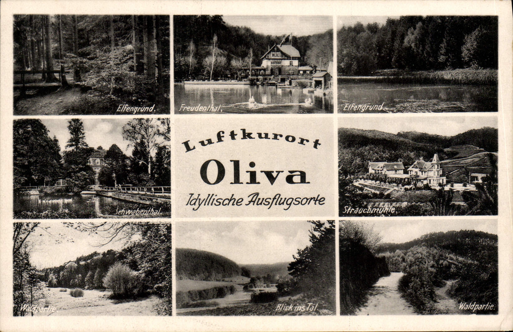 CPM Luftkurort Oliva 