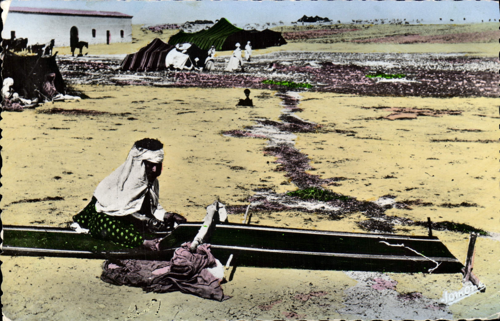 CPM La Kabylie Tissage Des Bandes de tissus servant a la confection des tentes
