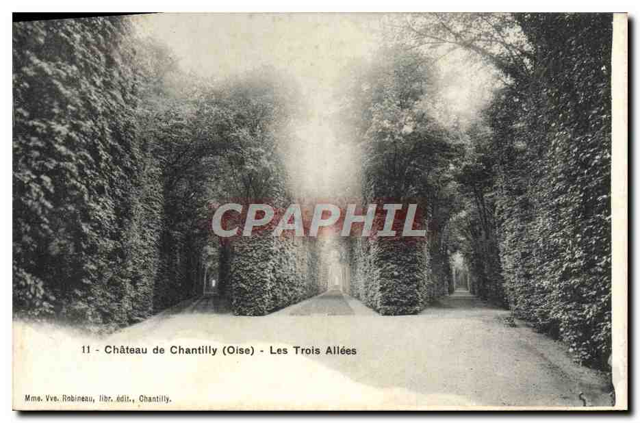 CPA Chateau De Chantilly Les Trois Allees