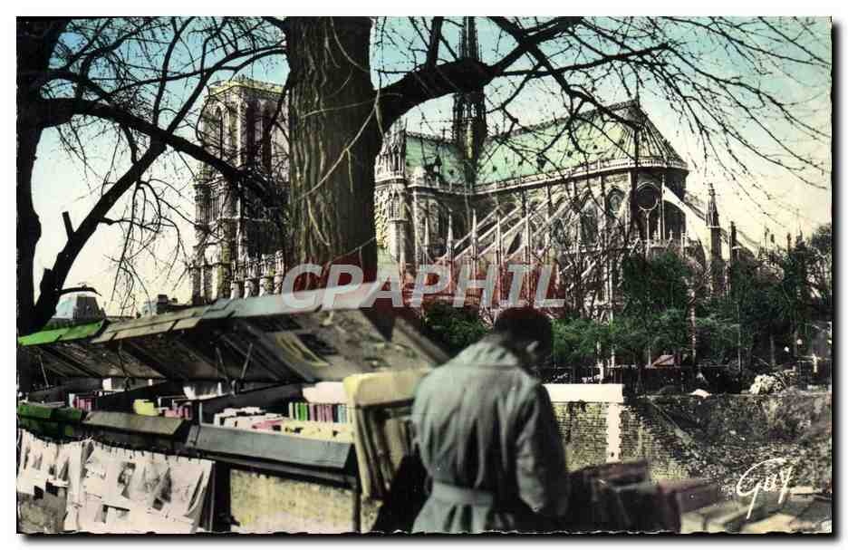 CPM Paris Bouquiniste de la rive gauche et cathedrale Notre Dame