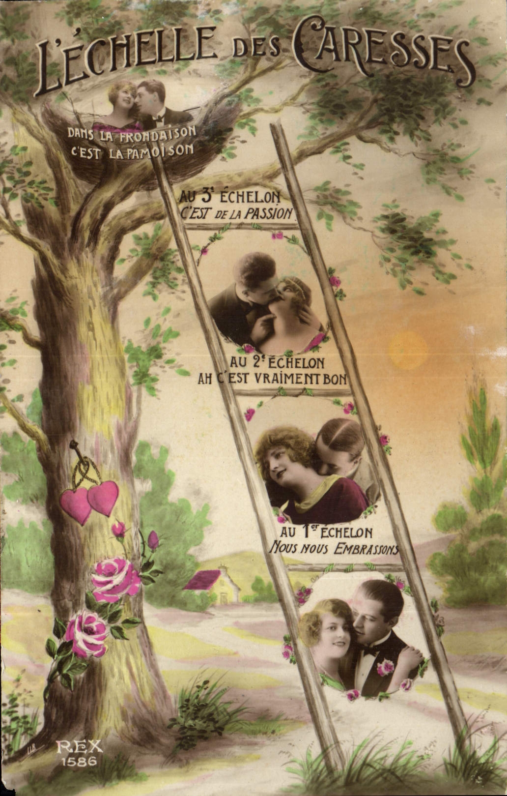 L'ÉCHELLE DES CARESSES — éditeur REX n°1586