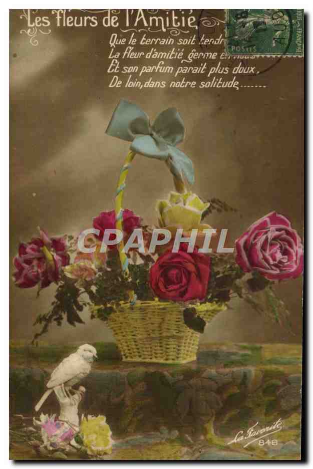 CPA Fantaisie Les fleurs de l'amitie Oiseau