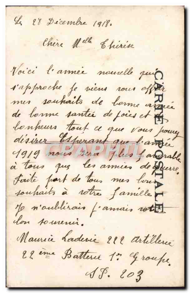 Femme en robe rose tenant un panier de fleurs — Bonne Année 1919 — éditeur anonyme, n° 7 — Reverso