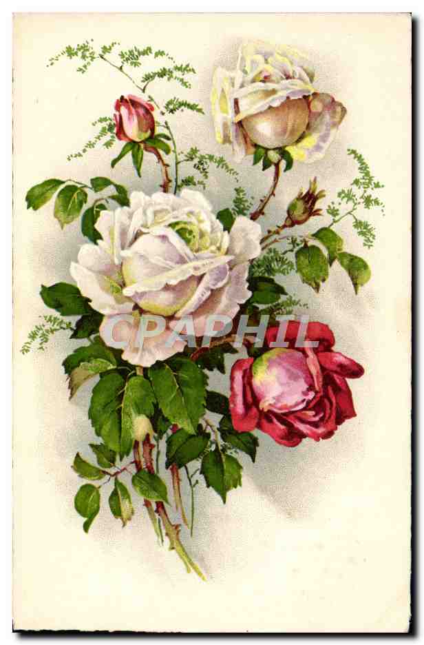 CPA Fantaisie Fleurs 