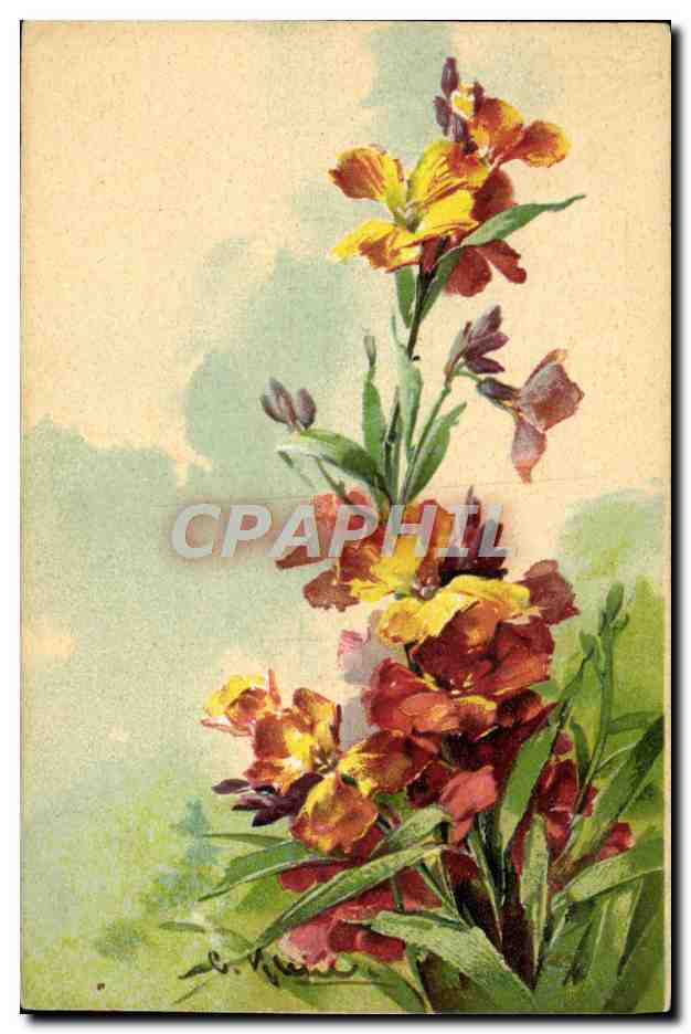 CPA Fantaisie Fleurs