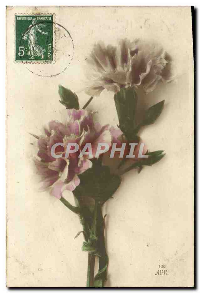 Blüten — Kardenien — Verlag AFG, Nr. 10E