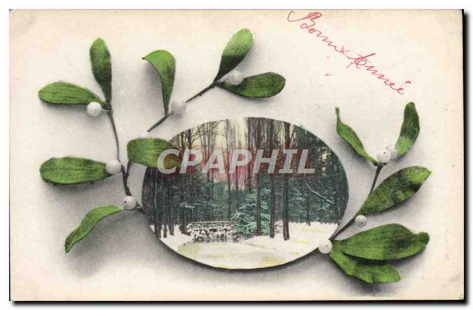 CPA Fantaisie Fleurs