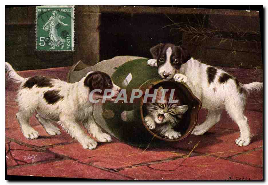 CPA Fantaisie Chat Chien Chiens