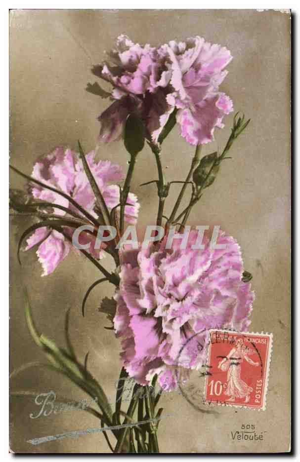 CPA Fantaisie Fleurs
