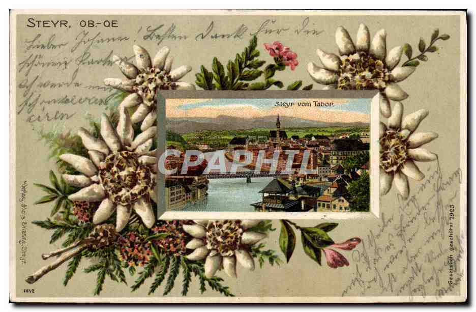 Steyr, Ob-ÖE — vue depuis le tabac — éditeur Wohlg. Bros. Steyr, n° 1112