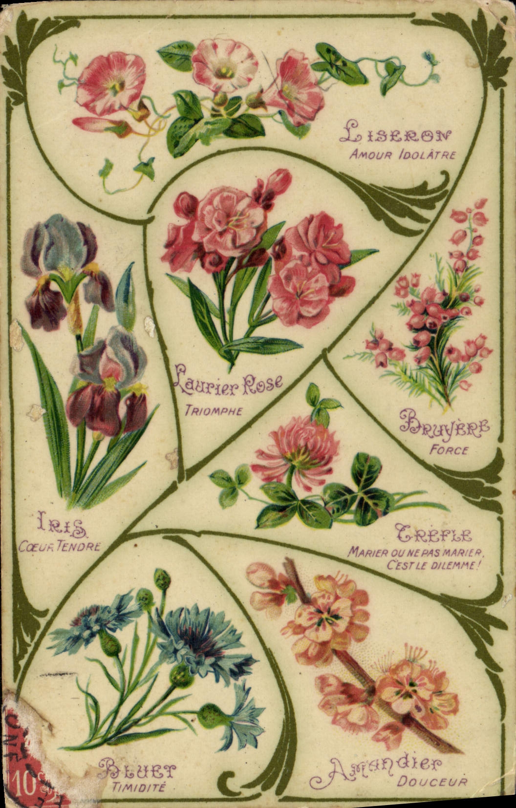 CPA Fantaisie Fleurs Liseron Laurier rose Bruyere Iris Bluet Amandier 