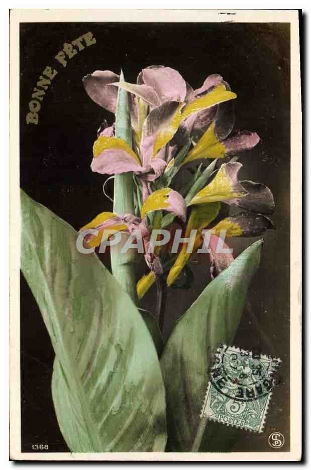 CPA Fantaisie Fleurs