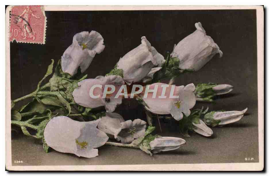 CPA Fantaisie Fleurs