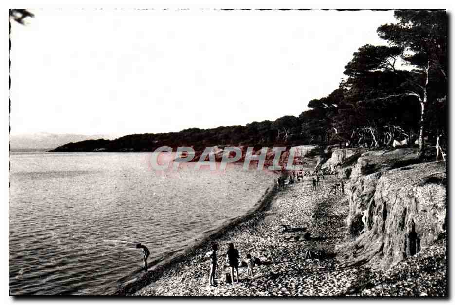 CPM Cote d'Azur Varoise Ile De Porquerolles Plage de la Courtade ou Grande Plage Le Camping