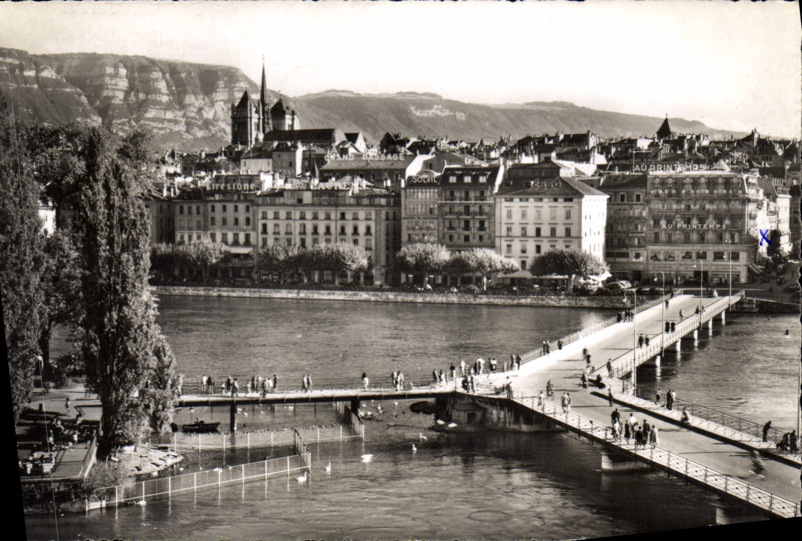 CPM Geneve Pont des Bergues