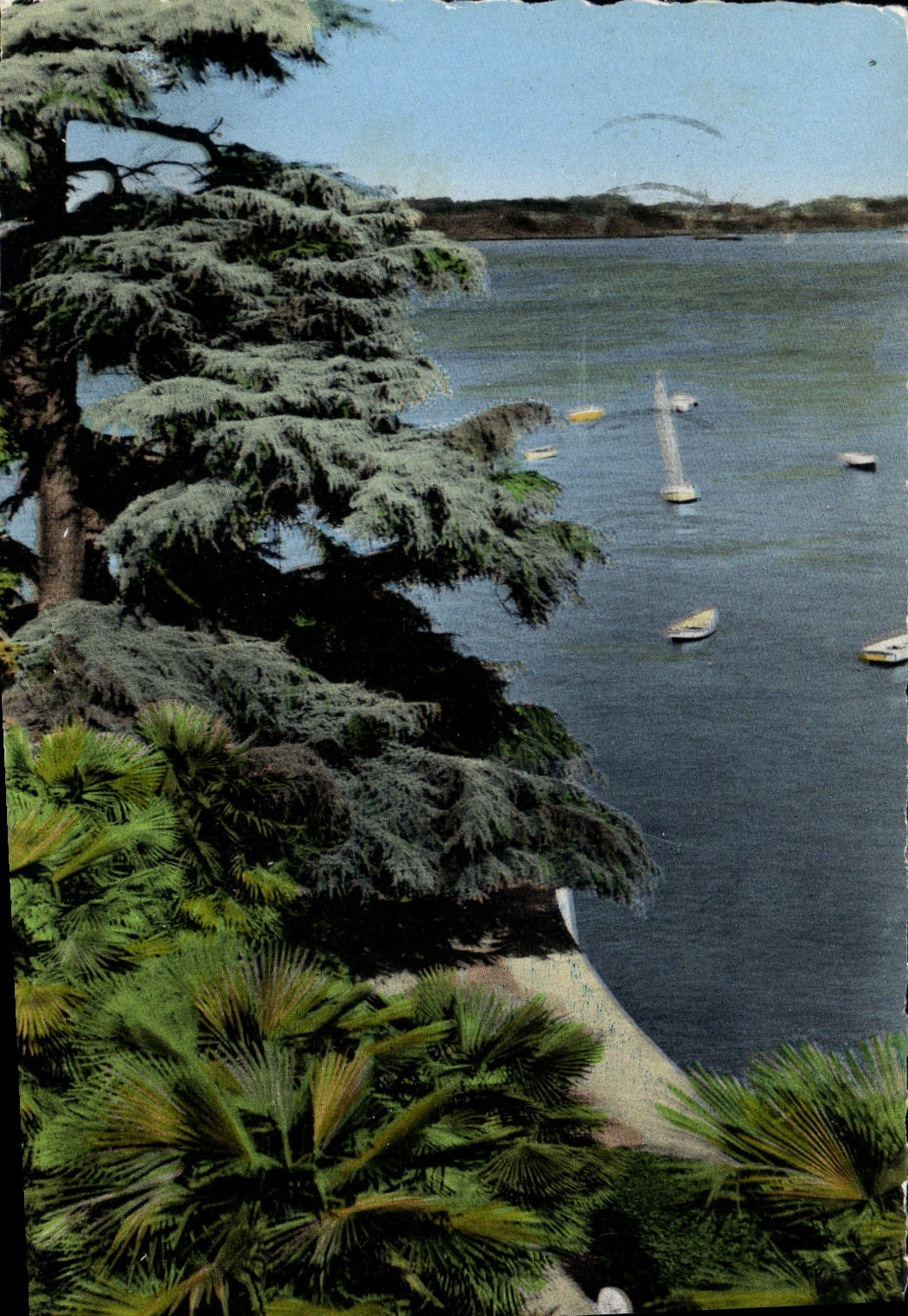 Côte d'Émeraude — Promenade du Clair de Lune — Cie des Arts Photomécaniques (6-1) - Dinard