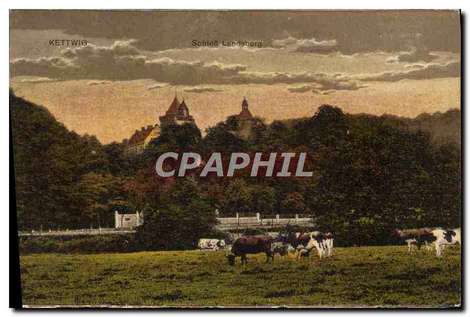 CPA Kettwig Schloss Landsberg Vaches 